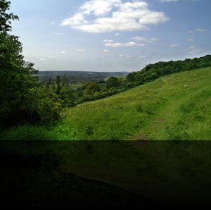 07-06-05 Holly Hill